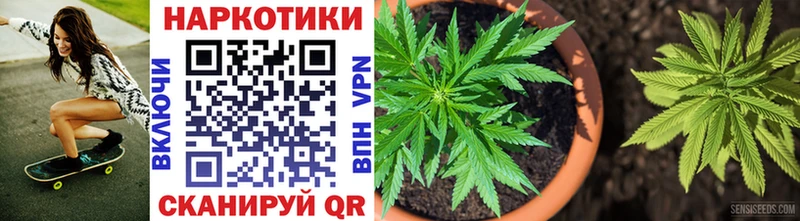 Где продают наркотики Семикаракорск КОКАИН Меф мяу мяу АМФ Бутират Конопля