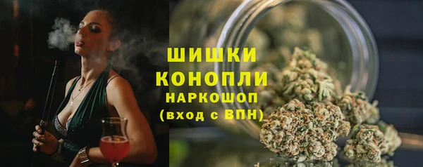 молекула духа Нефтегорск