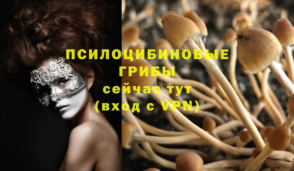 PSILOCYBIN Вязьма